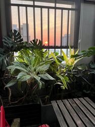 Tanamera Crest (D16), Condominium #614661911